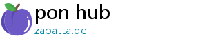 pon hub